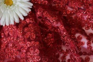 Ткань сетка валентино цвет красный